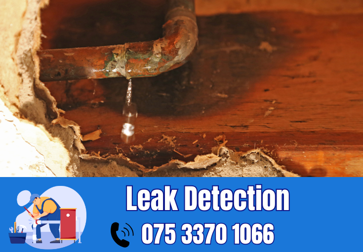 leak detection Sittingbourne