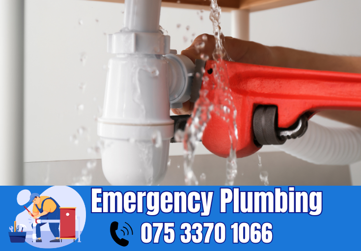  plumber Kemsley