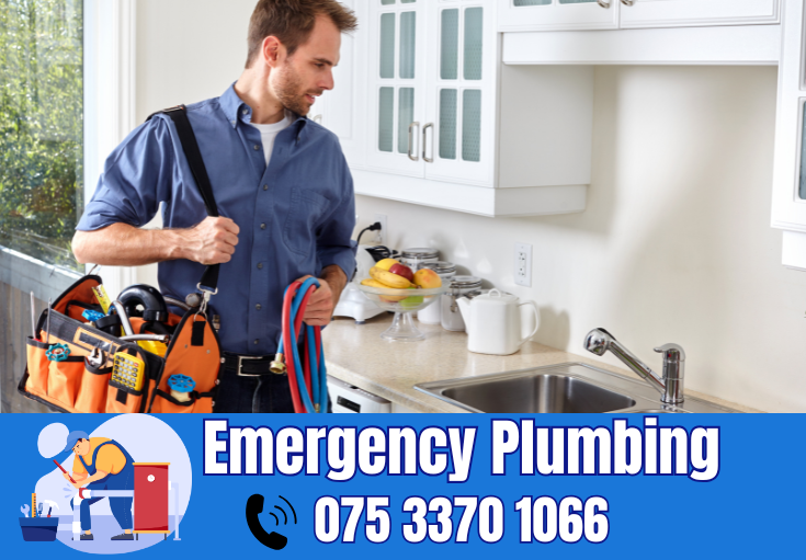  plumber Teynham